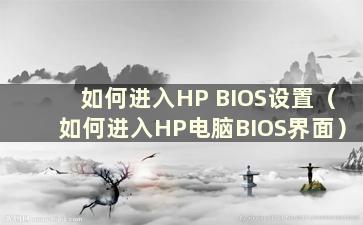 如何进入HP BIOS设置（如何进入HP电脑BIOS界面）